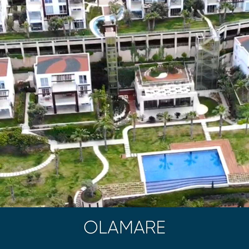 Olamare 03